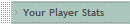 Your Player Stats