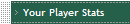 Your Player Stats